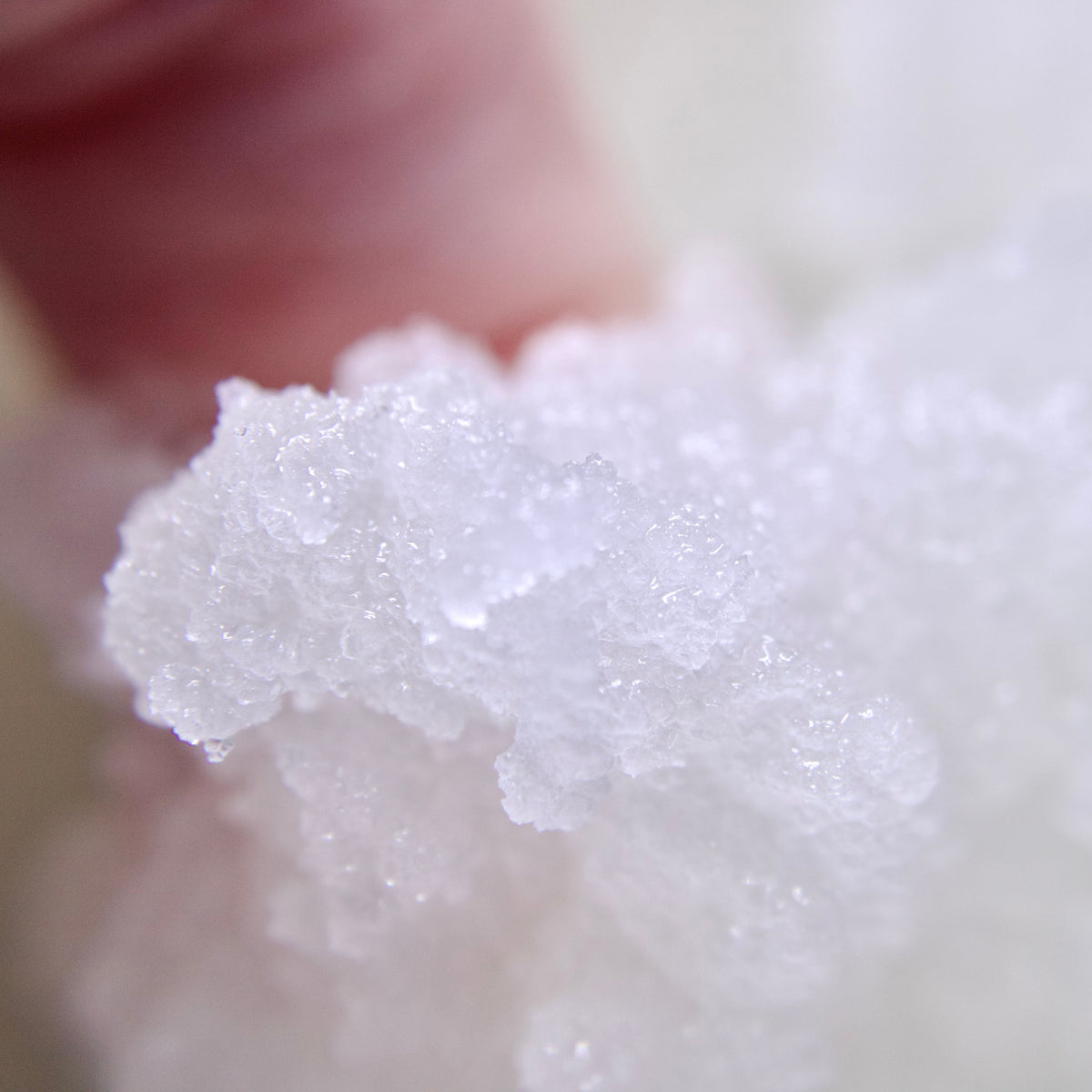 A close up photo of Liney Cosmetics Body Scrub being held in hand.